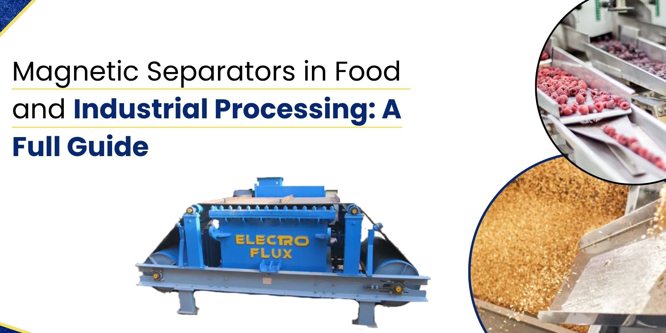 Magnetic Separators in food and industrial processing